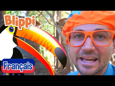 Blippi en français - Blippi visite un zoo (Phoenix Zoo) | Vidéos éducatives pour les enfants