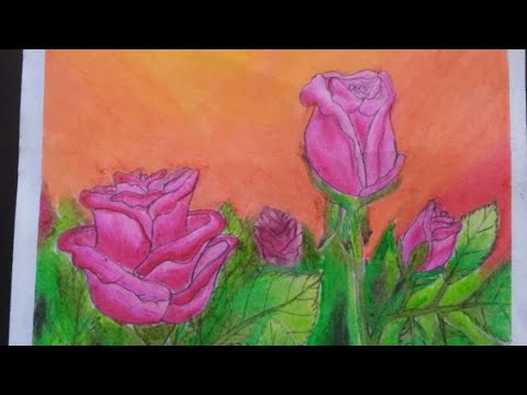 Rose Garden • Oil Pastels • Ojasvi Srivastava • Ever best Drawing 😎