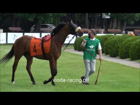 Gon. V (N. Westminster Rulera) - 7.06.2020 - Timemaster (Mukhadram -   Tierceville)