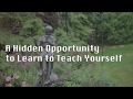 This Extraordinary Time: A Hidden Opportunity to Learn to Teach Yourself | BAXTRESSER