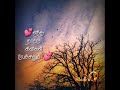RAMANA VANAVILLEY ENTHA NAATTU KUYILIN KOOTAMUM Tamil Whatsapp Status Songs