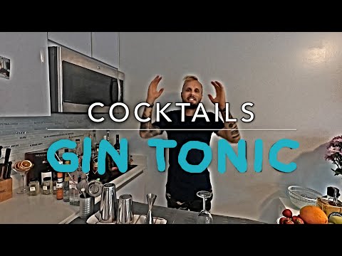 How To Make Gin and Tonic Cocktail | Cocktail Recipes