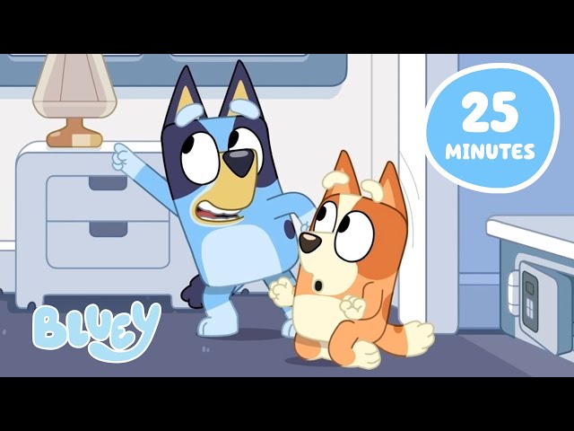 Time for More Bluey Adventures! 😍 💙 | Bluey SDDEFAULT Thumbnail