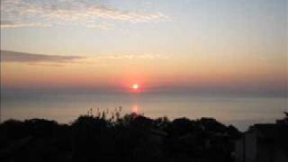 Bambook bamboo sunrise photos.wmv