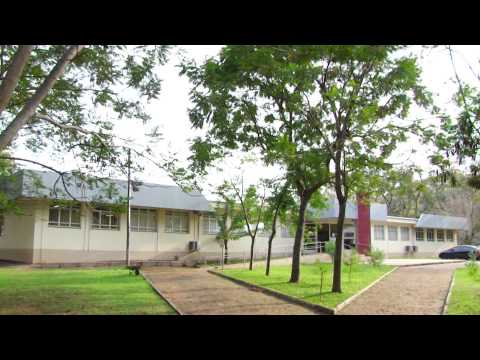 Instituto Federal Farroupilha - Câmpus Alegrete 60 anos