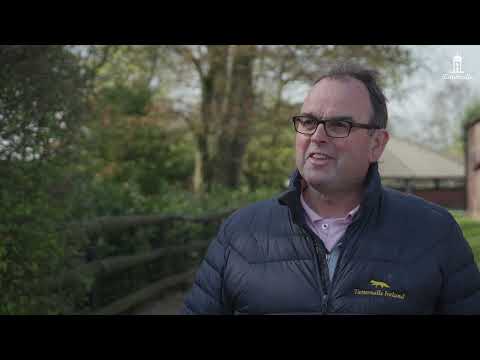 Selecting Gr. 1 Winner Trueshan | Alan King
