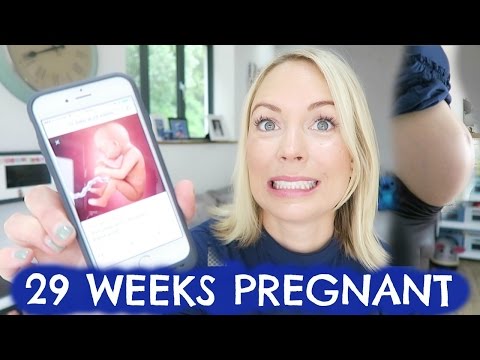 29 WEEK PREGNANCY UPDATE  |  HOME BIRTH?  GETTING HUGE! Video