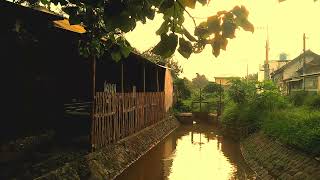 Download lagu VIDEO ESTETIK ALAM | cinematic 30 detik | story wa pagi hari | instrumen music relaxing mp3