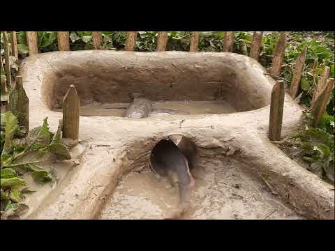 Amazing Easy Fish Trap | Unique Easy Fish Trap System