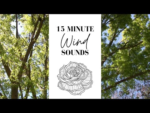 15 Minute Wind Sounds