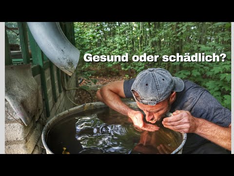 Is it possible to drink rainwater from a water barrel?