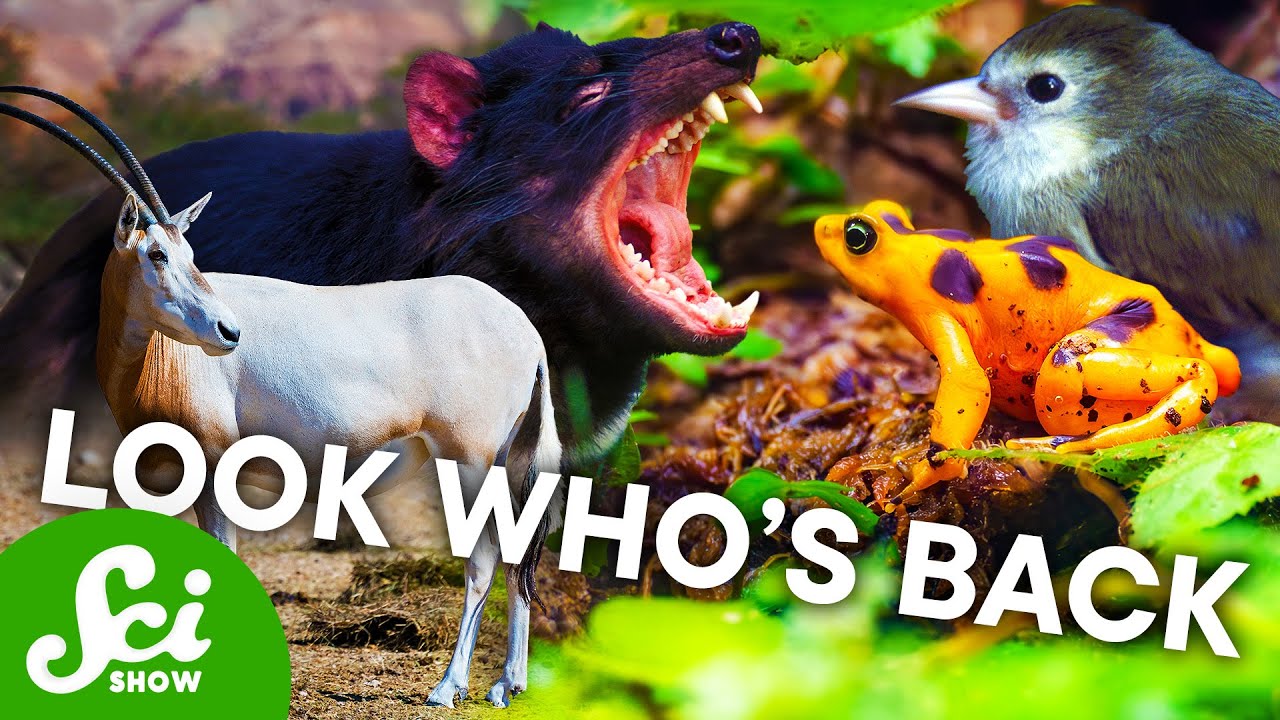 Where Scientists Keep the World's Most Endangered Animals