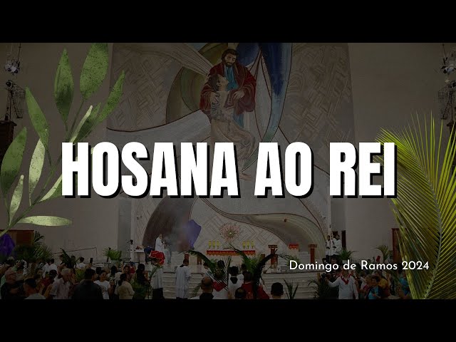Vídeo relacionado con FUNNY CUP Camiseta Admitelo te pasas Todo el año Esperando el Domingo de Ramos. Semana Santa, para capillitas, costaleros, musicos. (S)