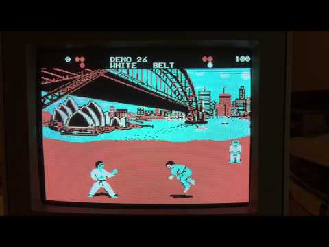 international karate na pc