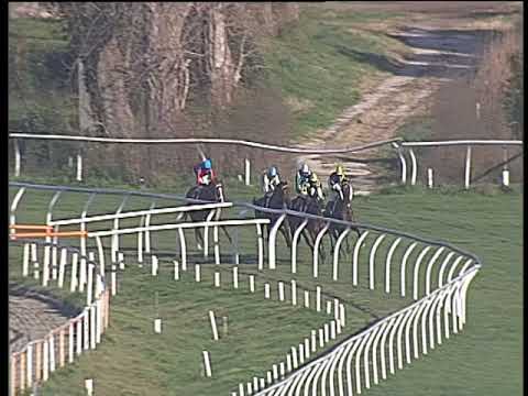 Galoppo 20/01/2018 - 1ª corsa