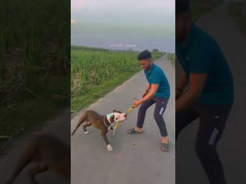 Training with Sikandar security guard 