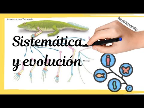SISTEMÁTICA y EVOLUCIÓN