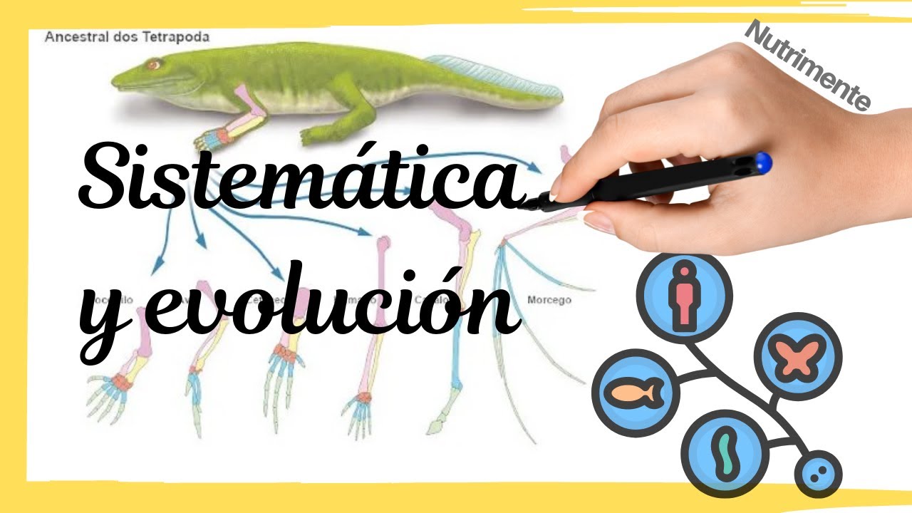 SISTEMÁTICA y EVOLUCIÓN