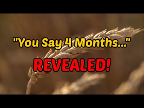 "You Say 4 Months..." John 4 REVEALED! (incredible)