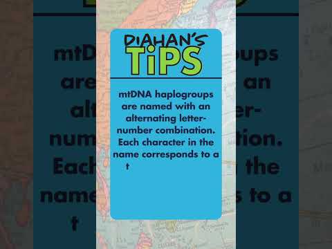 mtDNA Haplogroups
