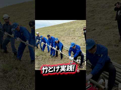 国際関係学科 令和7年度柏市・我孫子市共催水防演習にて竹とげ作り　#水防演習　#柏市 #我孫子市 #千葉県議会議員 #水野ゆうき