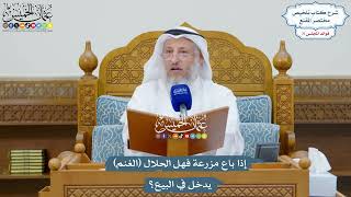 3313 - إذا باع مزرعة فهل الحلال (الغنم) يدخل في البيع؟ - عثمان الخميس