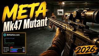 Best Meta builds for Mk47 Mutant . Updated 1.1.0! 2026