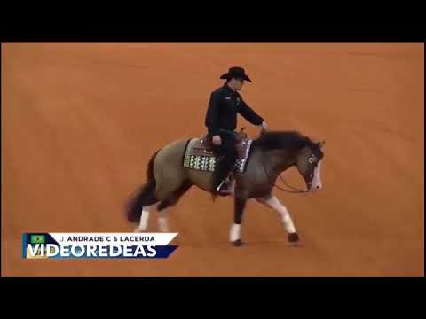 João Felipe Lacerda - 4° lugar Jogos Equestres Mundiais 2018