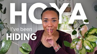 🌱5 HOYA you haven’t seen in a while 👀& Growing TIPS