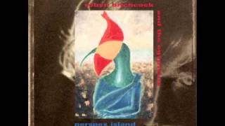 Robyn Hitchcock - Oceanside