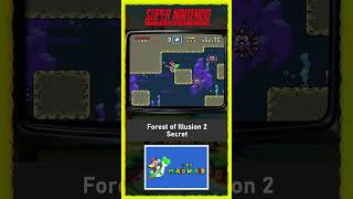 Capa de Forest of Illusion 2 (Secreta)