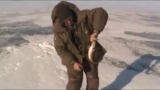 Рыбалка в вологодской области на онеге