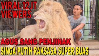 Download lagu THE LION WHISPERER FROM INDONESIA - AGUS SANG PENAKLUK SINGA PUTIH RAKSASA YANG BUAS mp3