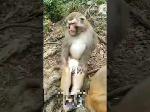 Chocolate khila di🤣🤣/Akshit Nagar