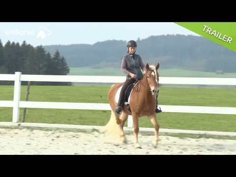 Übergänge reiten: So gelingen sie dir! | Claudia Butry