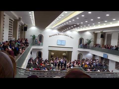 Paradis Tărâm frumos. Frații Strugariu