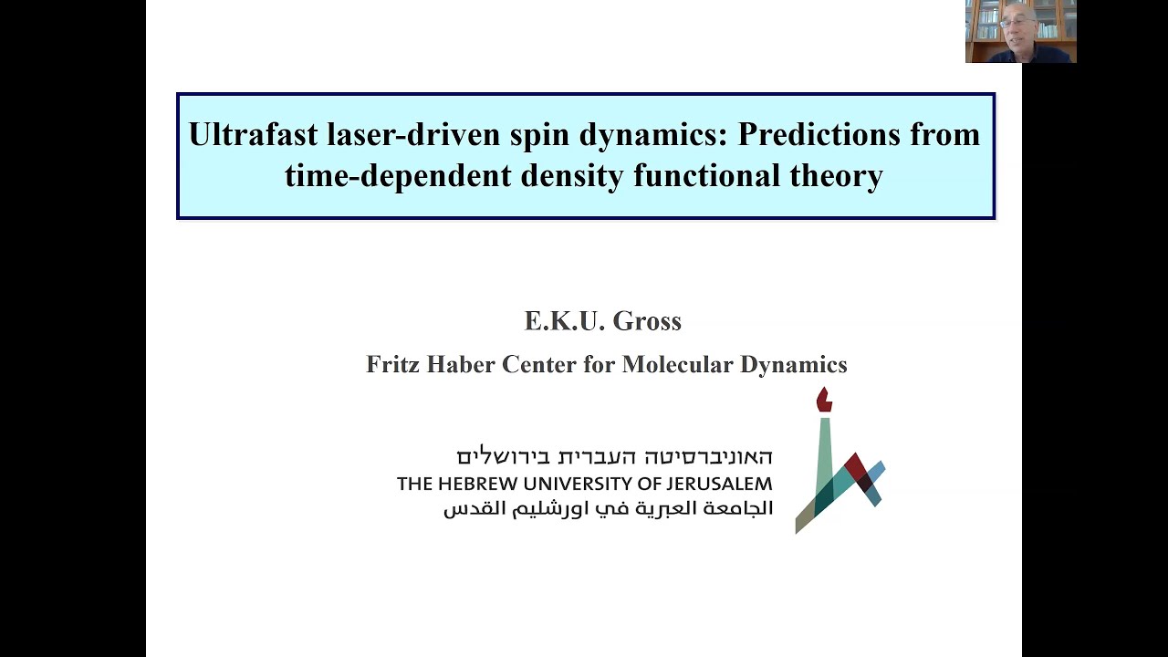 Ultrafast laser-drivenn Spin Dynamics: Predictions from Time-dependent Density Functional Theory