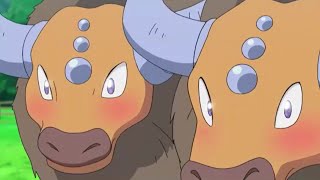 Sun & Moon: Ash's Tauros really do love him (JP)