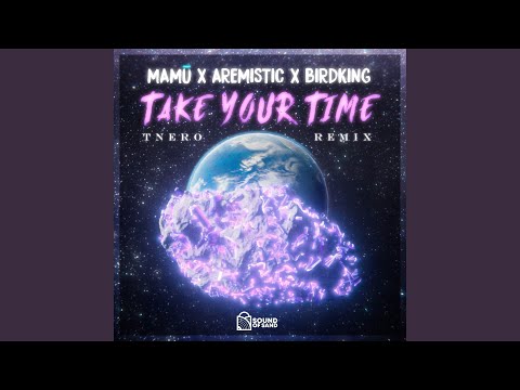 Take Your Time (feat. Birdking & Aremistic) (Tnero Remix)
