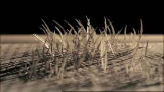 Найкраща реклама 2009: "Там, де книги оживають"