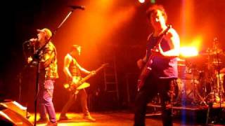 Vibrators - I need a slave