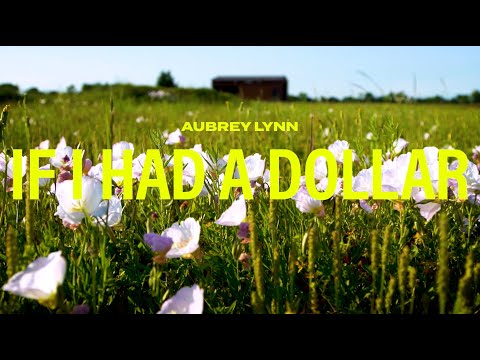 Aubrey Lynn - If I Had A Dollar (Official Music Video)