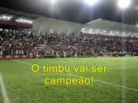 ALMA ALVIRRUBRA - O timbu vai ser campeão