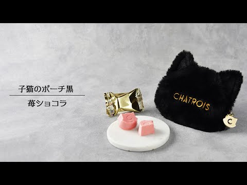 猫ポーチに入ったかわいい猫モチーフ濃厚チョコレート|子猫の 猫ポーチに入ったかわいい猫モチーフ濃厚チョコレート|子猫の