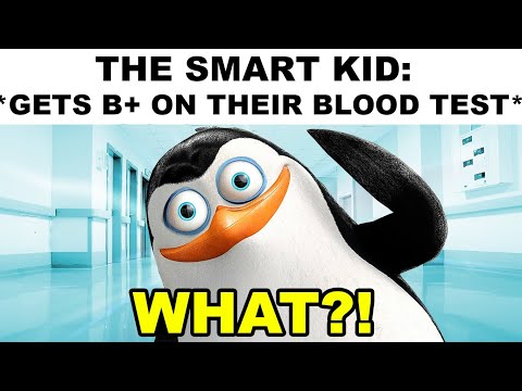 memes that are goofy