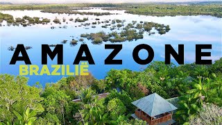 AMAZONE, BRAZILIË: Piranha's, Apen en DOLFIJNEN in ‘s Werelds Mooiste Jungle