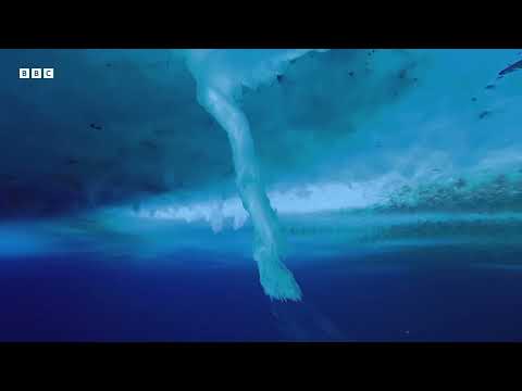 Elizar Mel - Far Centaurus / The 'Finger of Death'