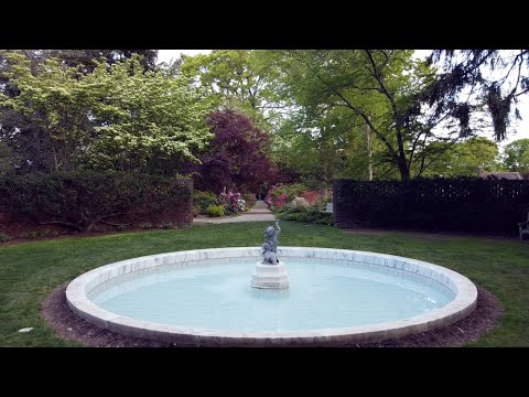 The Azalea Walks at Planting Fields