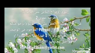 ٩ ودع العزوبية من ألبوم الأفراح الثاني فرحة عمري على الدفوف