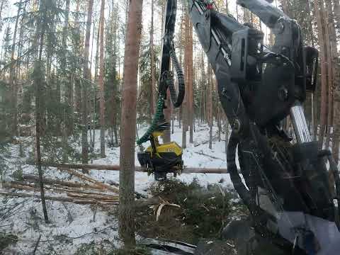 Männikkö,koivikko harvennus ja alus kuusikon säästelyä paikoittain osa 1/2 John Deere 1070e H212
